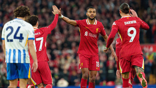 系功不可没 系功不可没